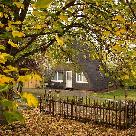 In With Private Garden *